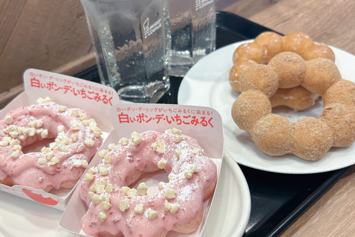 ポンデリングの写真
